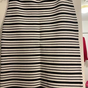 ANN TAYLOR SKIRT AND TOP